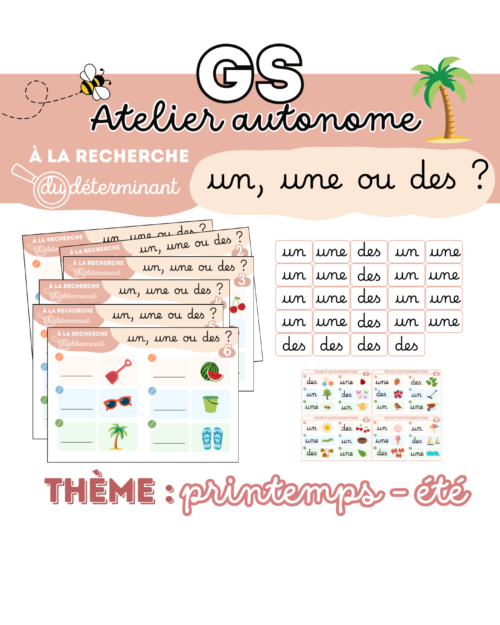 À la recherche du déterminant – Un, une ou des ? (Printemps – Été) - GS